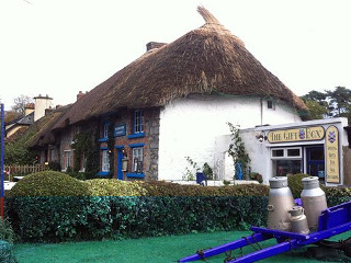 Berkeley Lodge Limerick Junction エクステリア 写真
